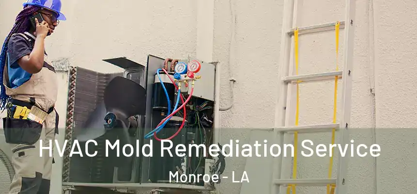  HVAC Mold Remediation Service Monroe - LA