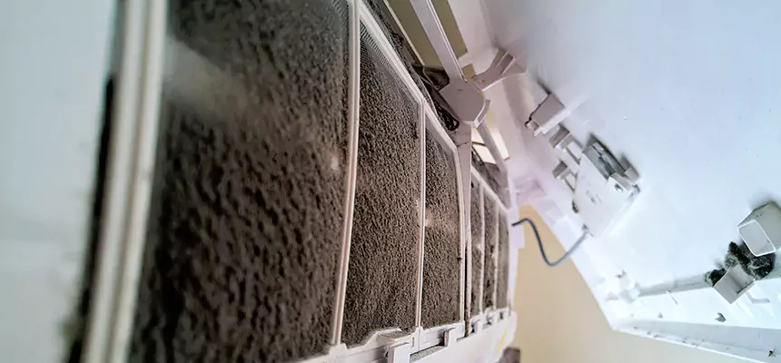 Preventive Air Duct Bacteria Removal in Monroe