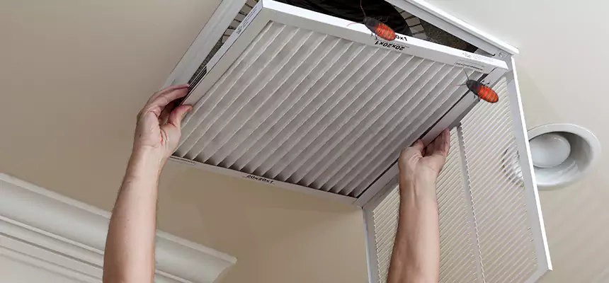 Our Insect Removal from Air Ducts Services in Monroe, LA