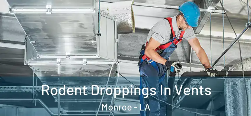  Rodent Droppings In Vents Monroe - LA