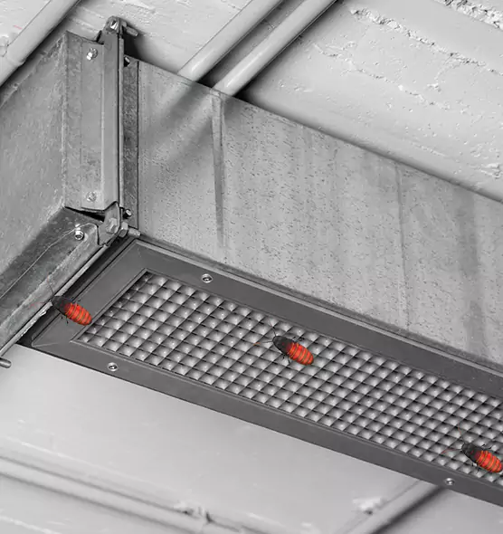 Affordable Insect Removal from Air Ducts in Monroe, LA