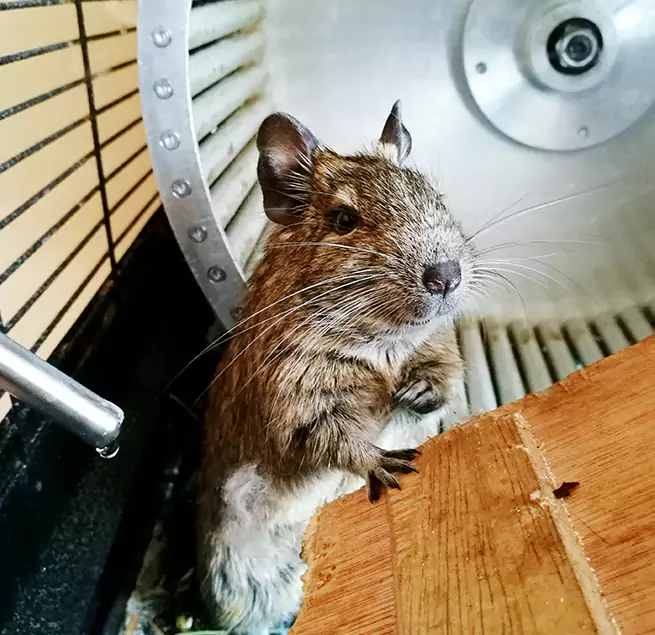 Why Homeowners & Businesses Trust Us Monroe, LA